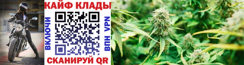 Купить закладку Галлюциногенные грибы  КОКАИН  МЕФ  ГАШ  Серафимович