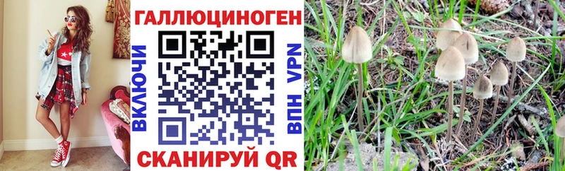 Галлюциногенные грибы мицелий  Купить  Серафимович 