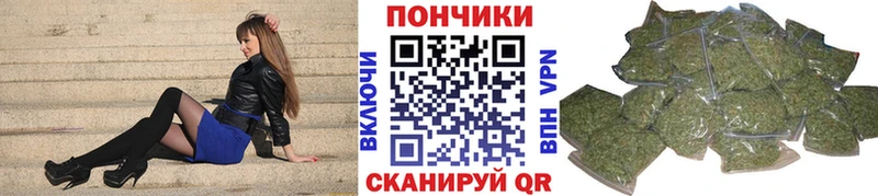 Бошки марихуана ГИДРОПОН  Купить где  Серафимович 